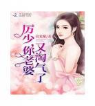 厉少绝宠2