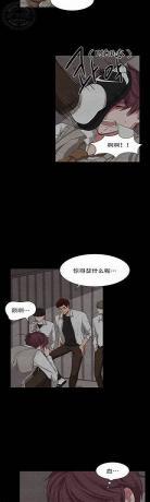贡物韩国漫画免费