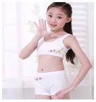 初中女孩内衣是什么味道