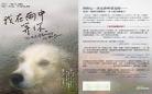 我在雨中等你原版英文原版
