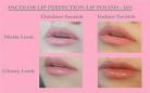 lip最后怎么和教授