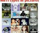 MBTI中的SJ代表什么