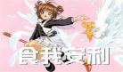 初代日萌萌王