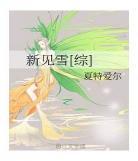 铁血链二爷