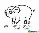 猪的简单画法图片步骤