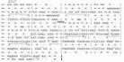 琴箫合奏的曲子大全