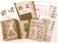 左翼文化运动名词解释