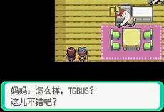 漆黑的魅影平民队伍