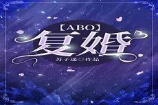 为爱转身复婚的一期