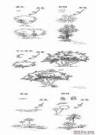 树怎么画才好看水彩画