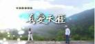 普法栏目剧2017全部