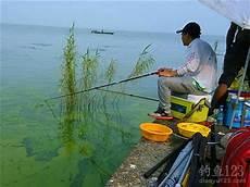 野河钓鱼怎样找大鲫鱼
