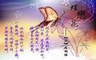词牌名蝶恋花诗句